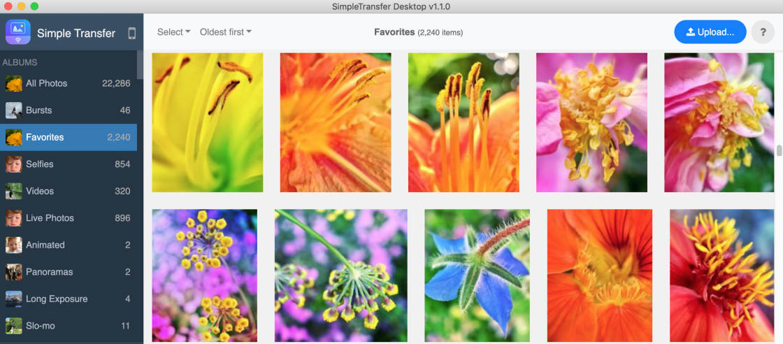 photo transfer app no script