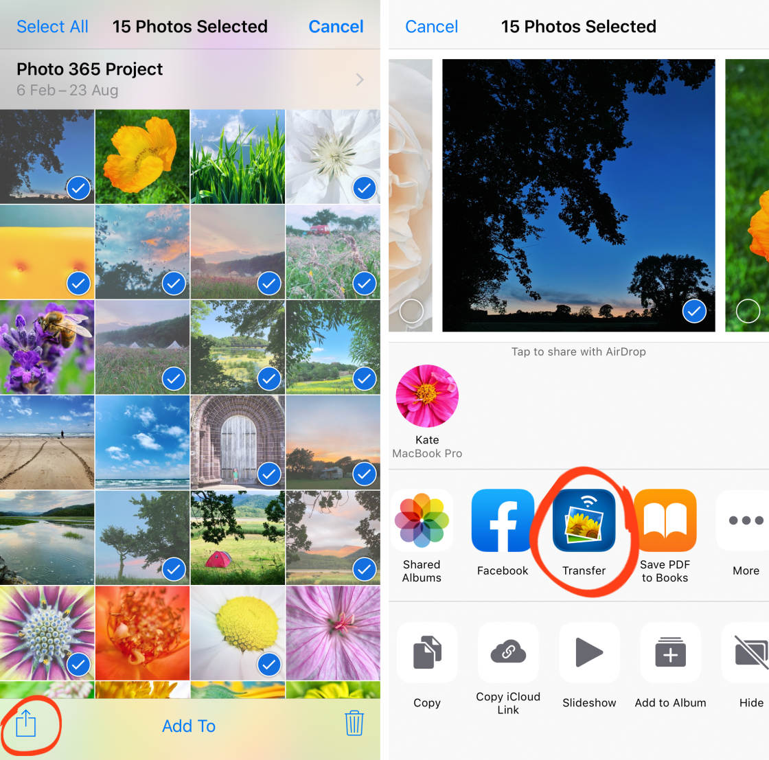 photo transfer app no script