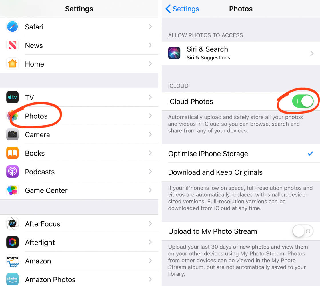 photo transfer app no script