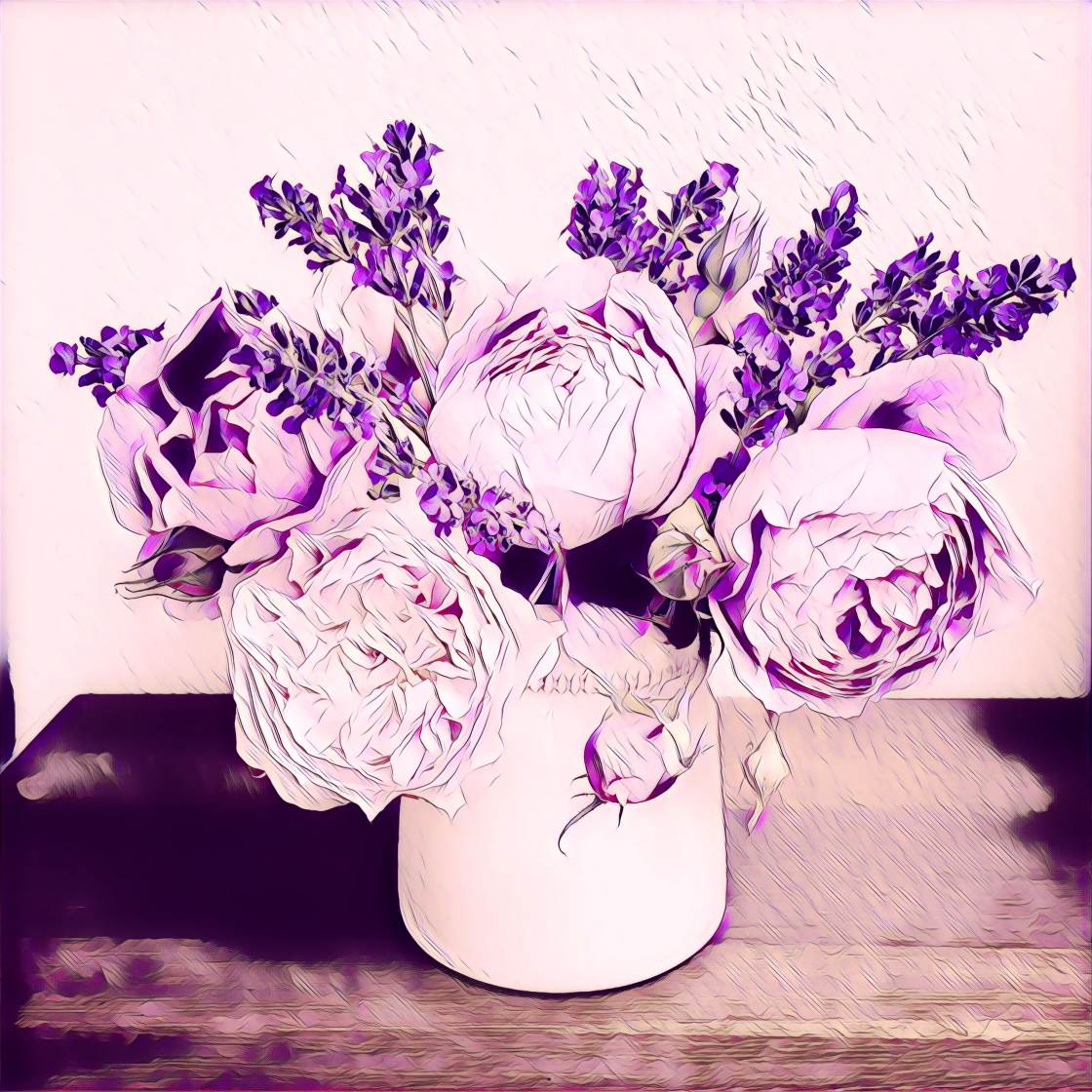 prisma app no script