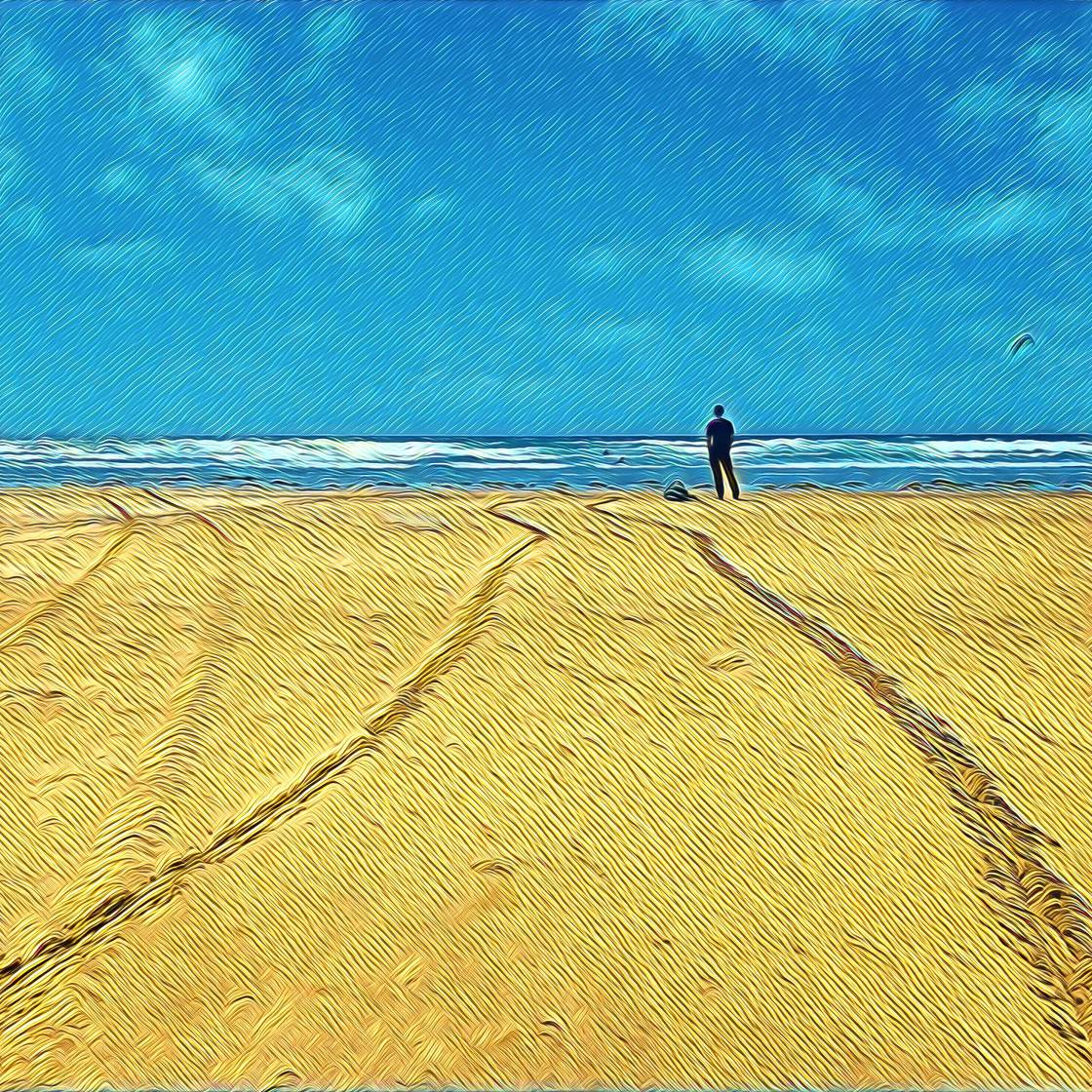 prisma app no script