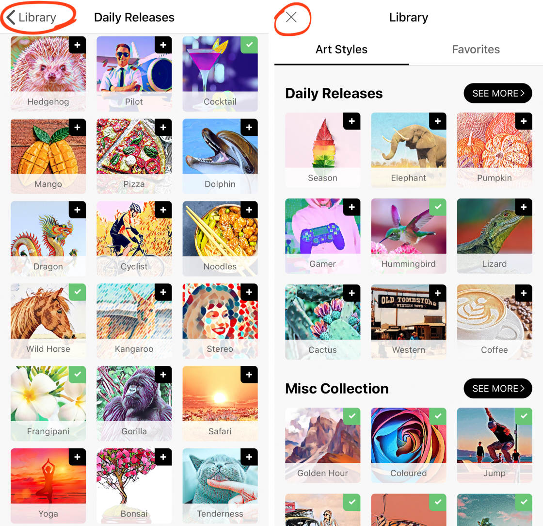 prisma app no script