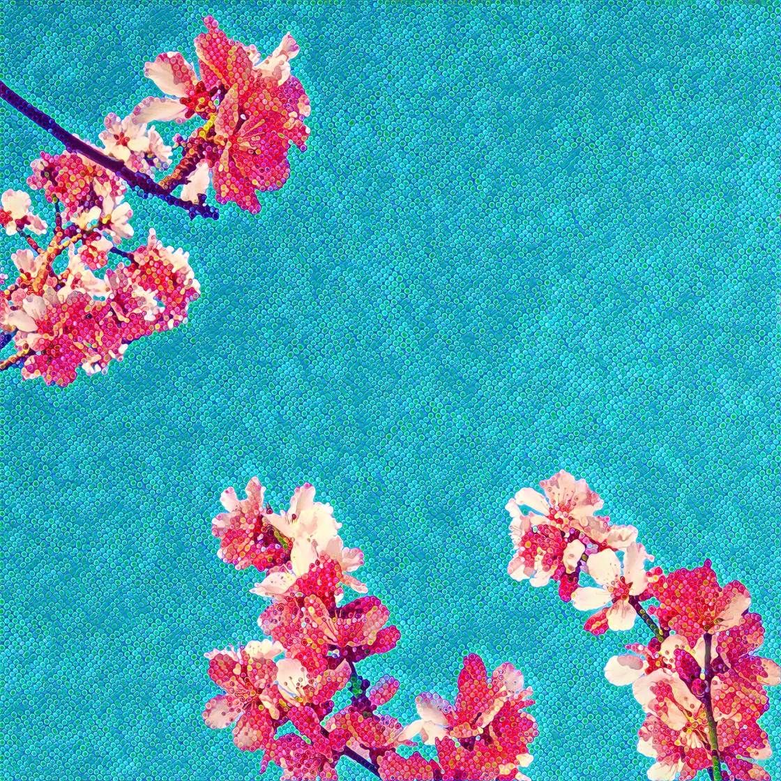 prisma app no script