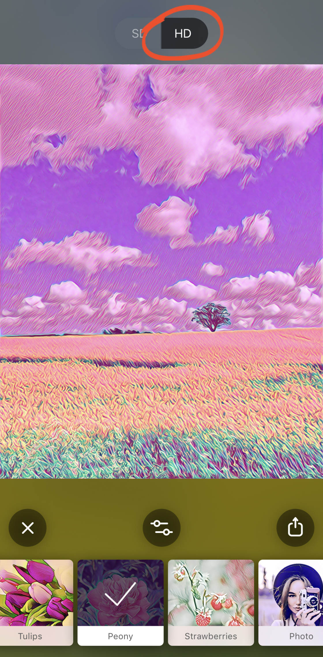 prisma app no script