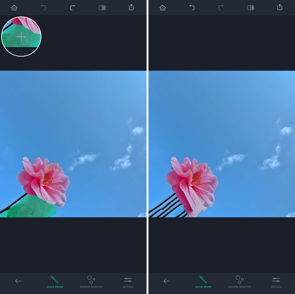 removing objects no script