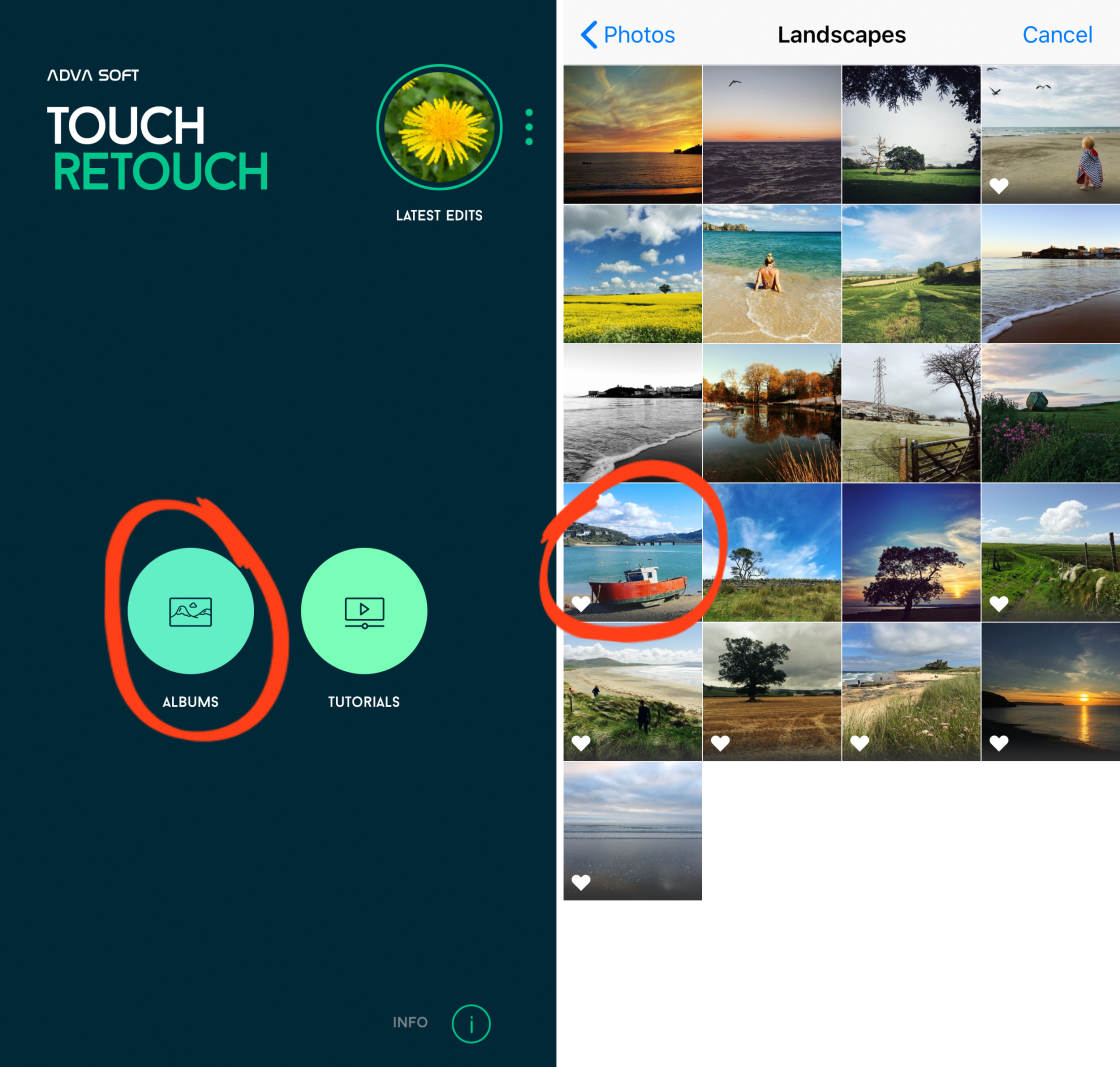 removing objects no script