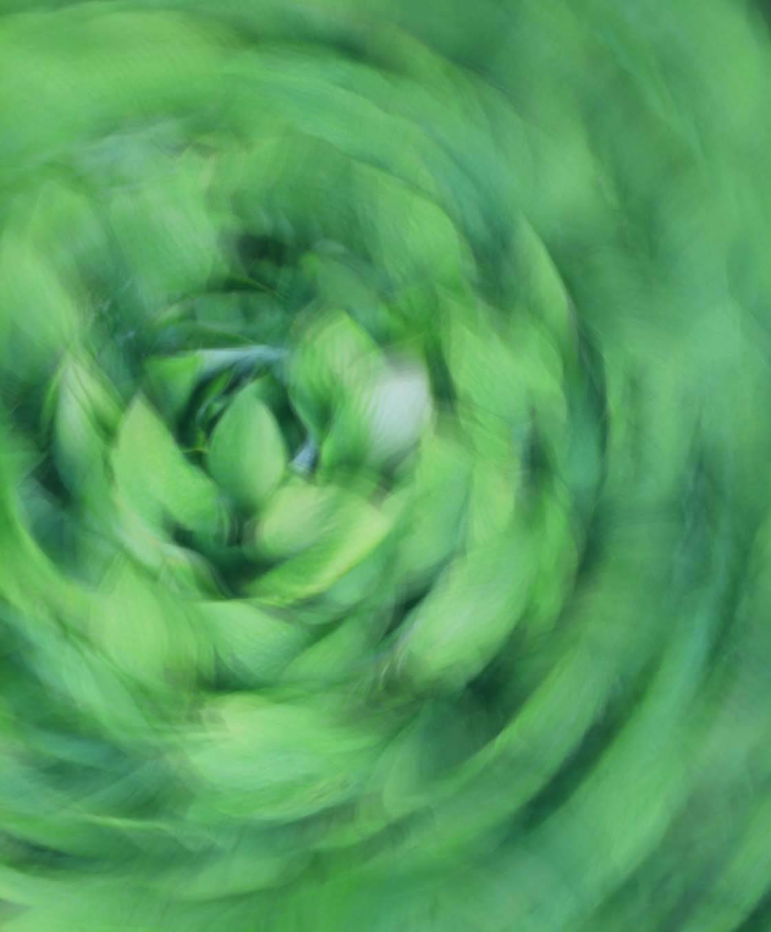 Slow Shutter Abstract iPhone Photo 12 no script