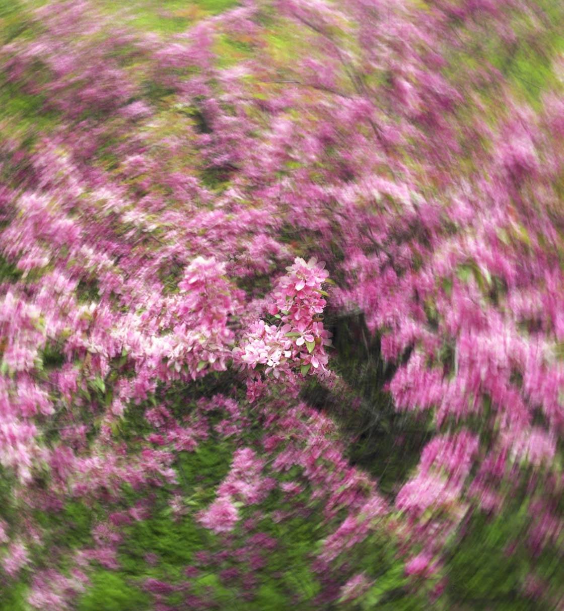 Slow Shutter Abstract iPhone Photo 8 no script