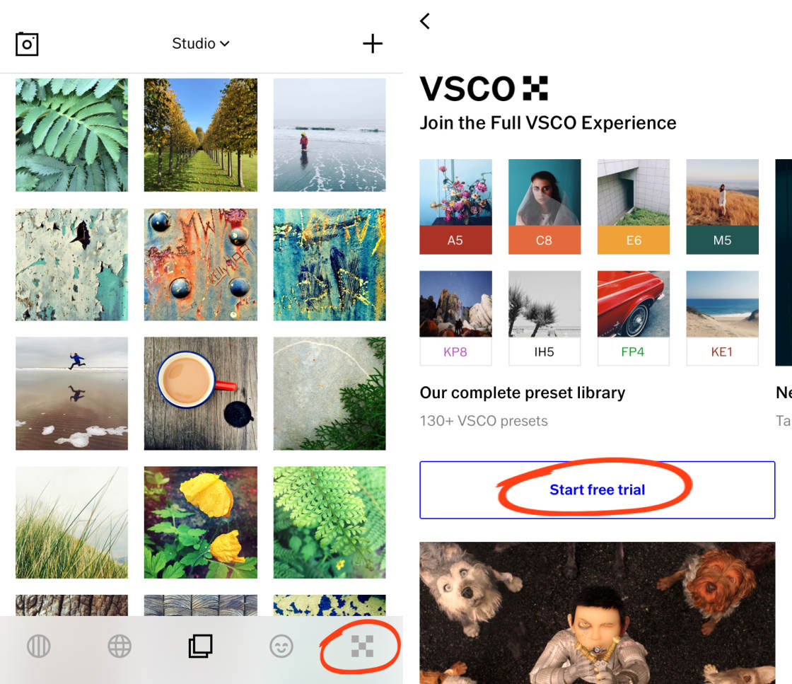 VSCO no script