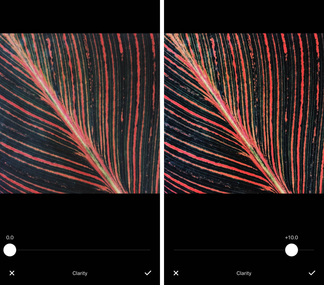 VSCO no script