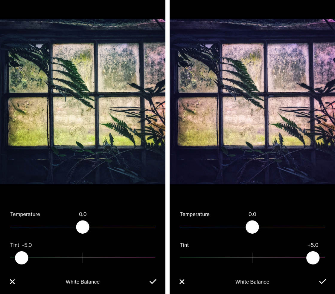 VSCO no script