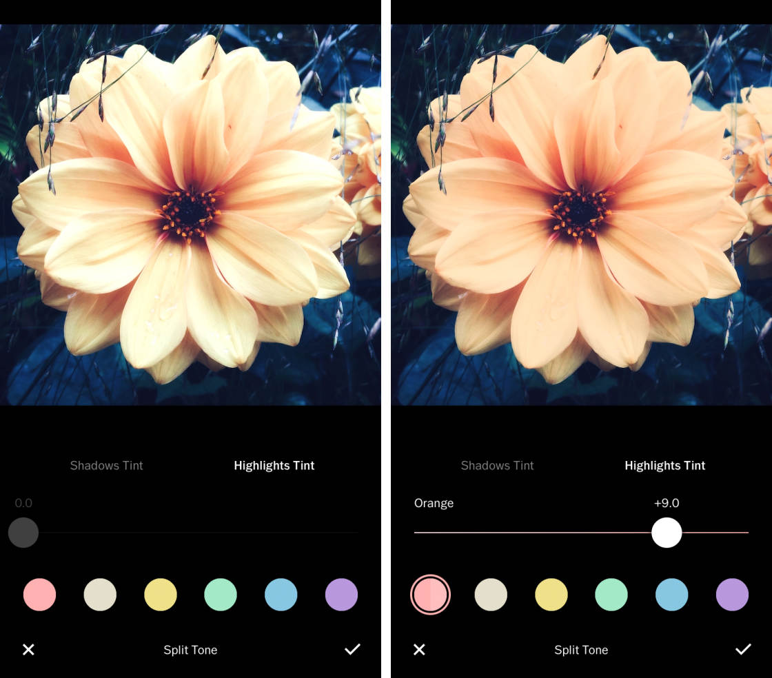 VSCO no script