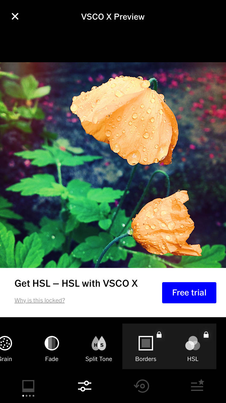 VSCO no script