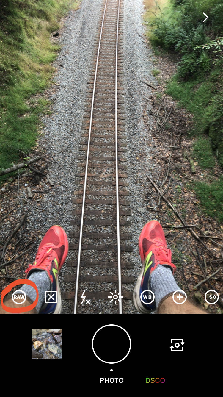 VSCO no script