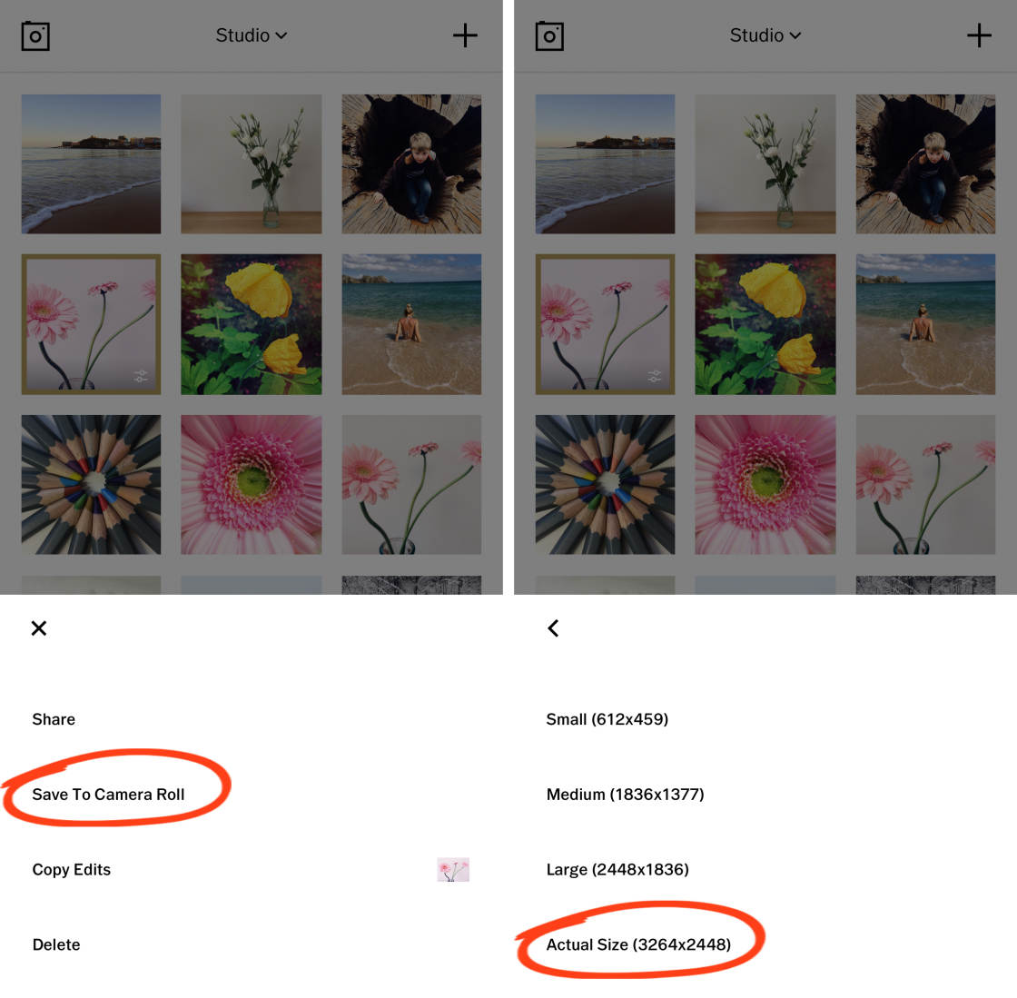 VSCO Filters no script
