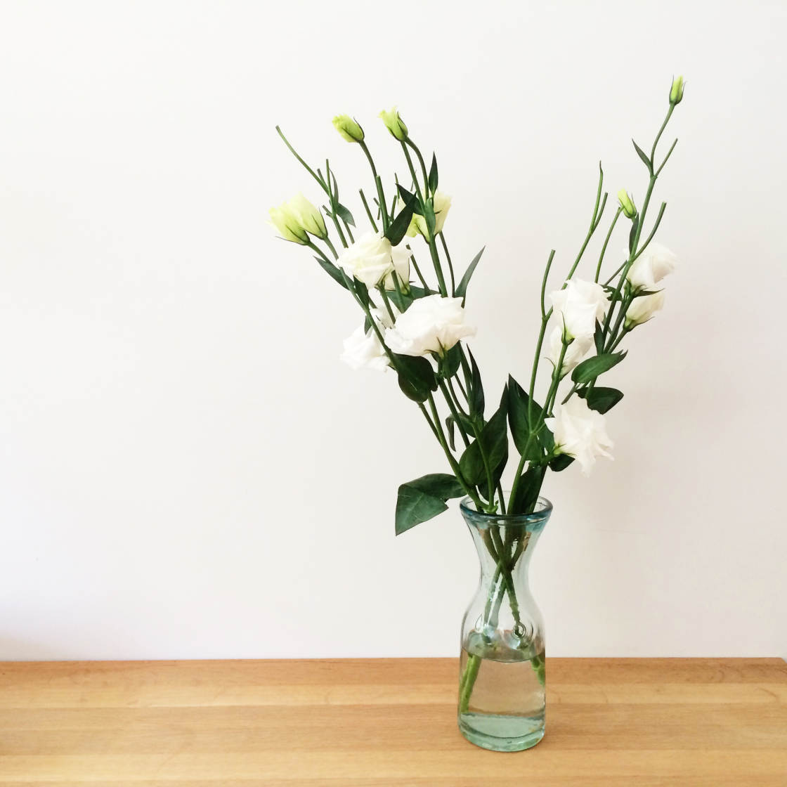 VSCO Filters no script