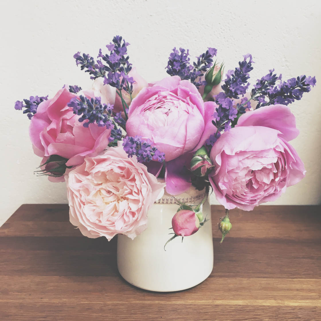 VSCO Filters no script