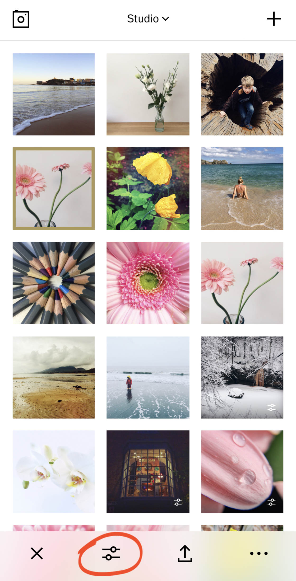 VSCO Filters no script