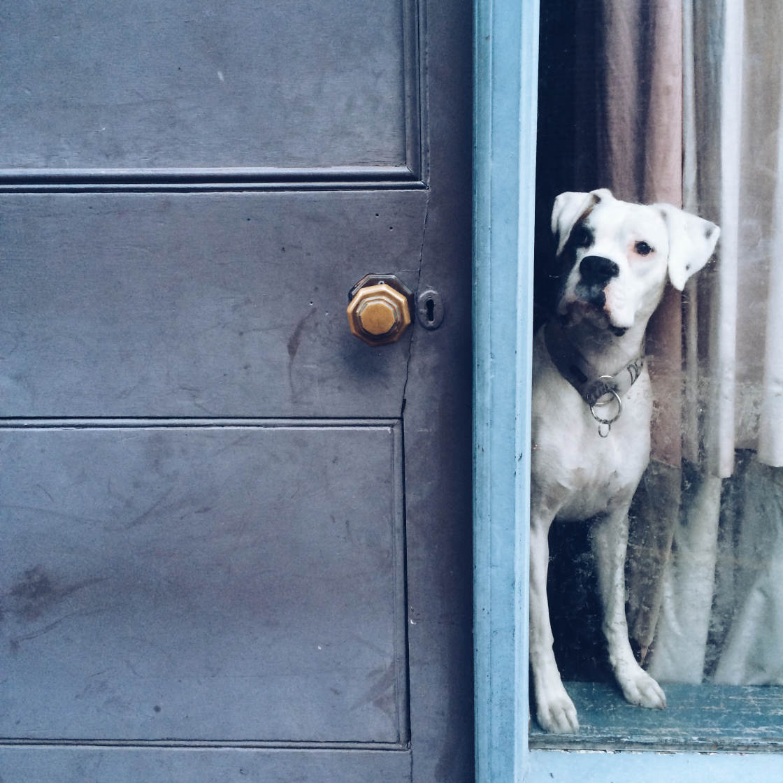 VSCO Filters no script
