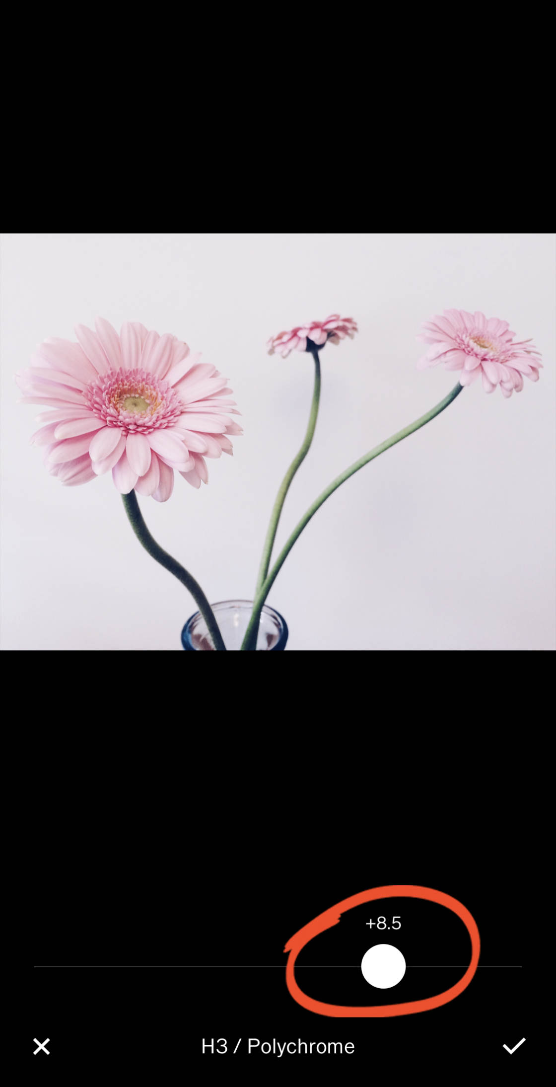 VSCO Filters no script